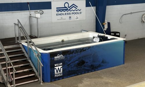 SwimTec Orlando Rosen